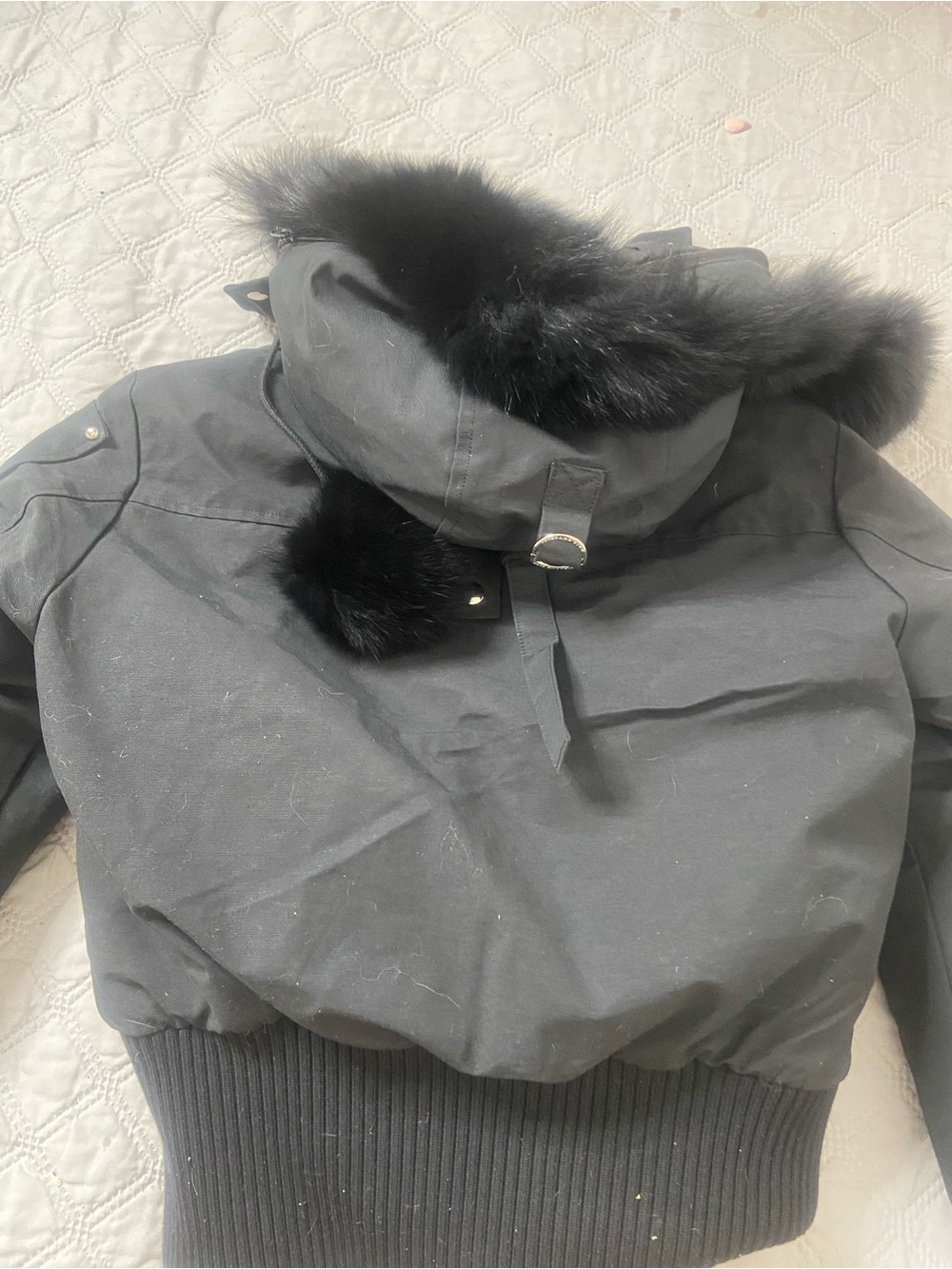 Moose Knuckles Black Down-Filled Jacket with Red Accents - Picture 2 of 4
